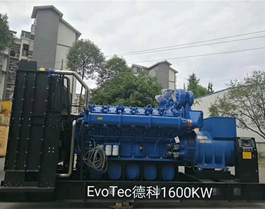 德科1600KW/400V陸用發電機應用于某工廠項目